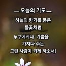 오늘도건강