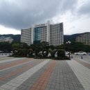 방호목장 | 홍천 소노벨 비발디파크 곤돌라 루지 탑승 후기