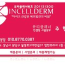 인셀덤서현