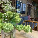 메종카누네 이미지