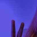 탈스테이 이미지