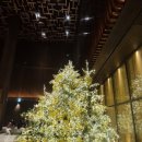 JW메리어트호텔서울, 센트럴시티, 신세계백화점 강남점, 센트럴시티 터미널,플레이버즈,더 마고 그릴, 더라운지, THE LOUNGE(더 라운지),(주)썬앳푸드 모던샤브하우스 반포센트 | 🏨 JW 메리어트 호텔 서울 | 강남의 심장에서 즐기는 럭셔리 라이프스타일