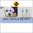 사랑플러스 동물병원 이미지