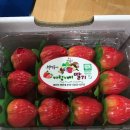 바람개비 딸기학교 이미지