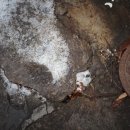 용산-254 이미지