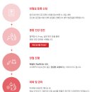 한국고양이혈액센터 이미지