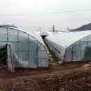 성혁농장 이미지