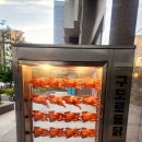 구도로 | 대구 죽전네거리 치맥 데이트 추천 구도로 통닭 마늘쫑닭 후기