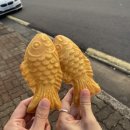 정아상회