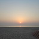 나리관광펜션 | 울릉도 독도 2박 3일 자유여행 후기[feat. 3월 독도 입도 성공]