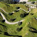 플렌티숲 이미지