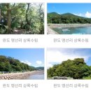 완도 맹선리 상록수림 이미지