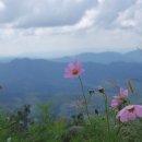 힐링 시낭송 이미지