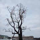 춘천시청 별관(춘천도시공사) 강원도민일보