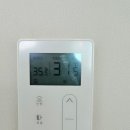 신동-54 이미지