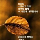 소망건강