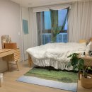 댕댕묭실 이미지