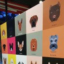 펫앤스토리 이미지