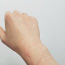 뽀삐살롱 이미지