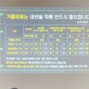표선면사무소