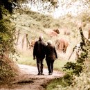 현대생활건강 이미지