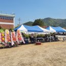 생비량초등학교 이미지