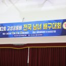 제2회 고성공룡배 전국 남.여 배구대회-2일차 광주빛고을/광주문정1 이미지