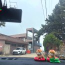 궁평펜션 이미지