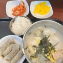 마선생마제