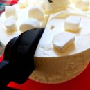 멜팅카라멜 | 2025 크리스마스 케이크 후기 사전예약 투썸 멜팅 스노우맨으로 연말 기분내기!