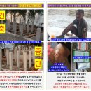 더큰나무수련원