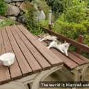 구텐베르크펜션 이미지