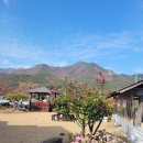 덕산오아시스 이미지