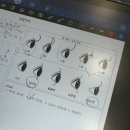 겟베럴(Get Better) | 속초 속눈썹펌 맛집 '웨이베럴(WAY BETTER)'