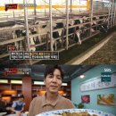 최원영농장 이미지