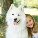 위즈동물메디컬센터 이미지