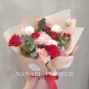 사파동183 이미지