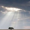 한우리부동산중개 이미지