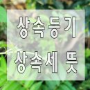 상속등기 ㆍ 상속세 뜻 - 법무사 설명 이미지