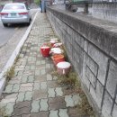 구지면사무소 이미지