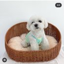 멍플러피 이미지