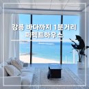원하우스 | 강릉 주문진 10만원대 오션뷰 감성 숙소 퍼펙트하우스 402 후기