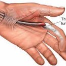 진심과정성 한의원 이미지