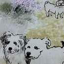 마곡하나공인중개사사무소 이미지