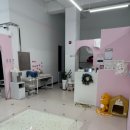 캉스펫