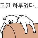 송정주짓수 네이버블로그