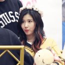 어서사나 이미지