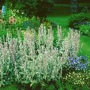 나만의 일러스트 이미지