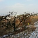 길우농장 이미지