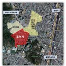 신사동-27 이미지